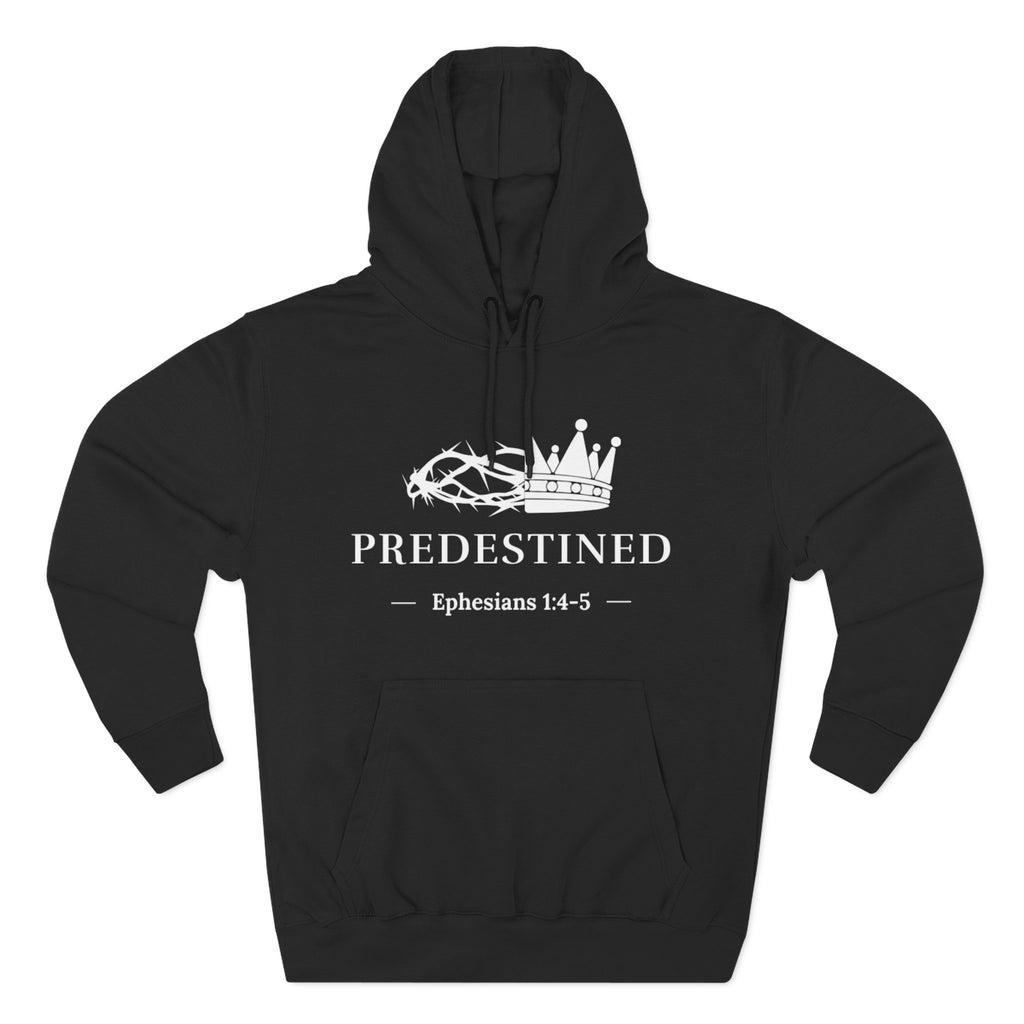 Predestined - Hoodie