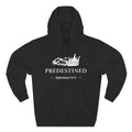 Predestined - Hoodie