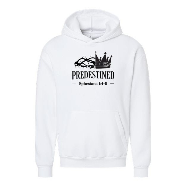 Predestined - Hoodie