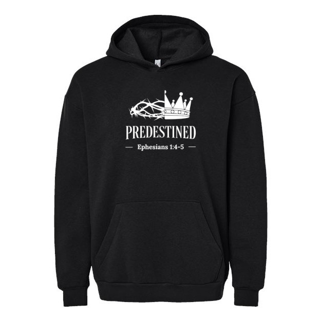 Predestined - Hoodie